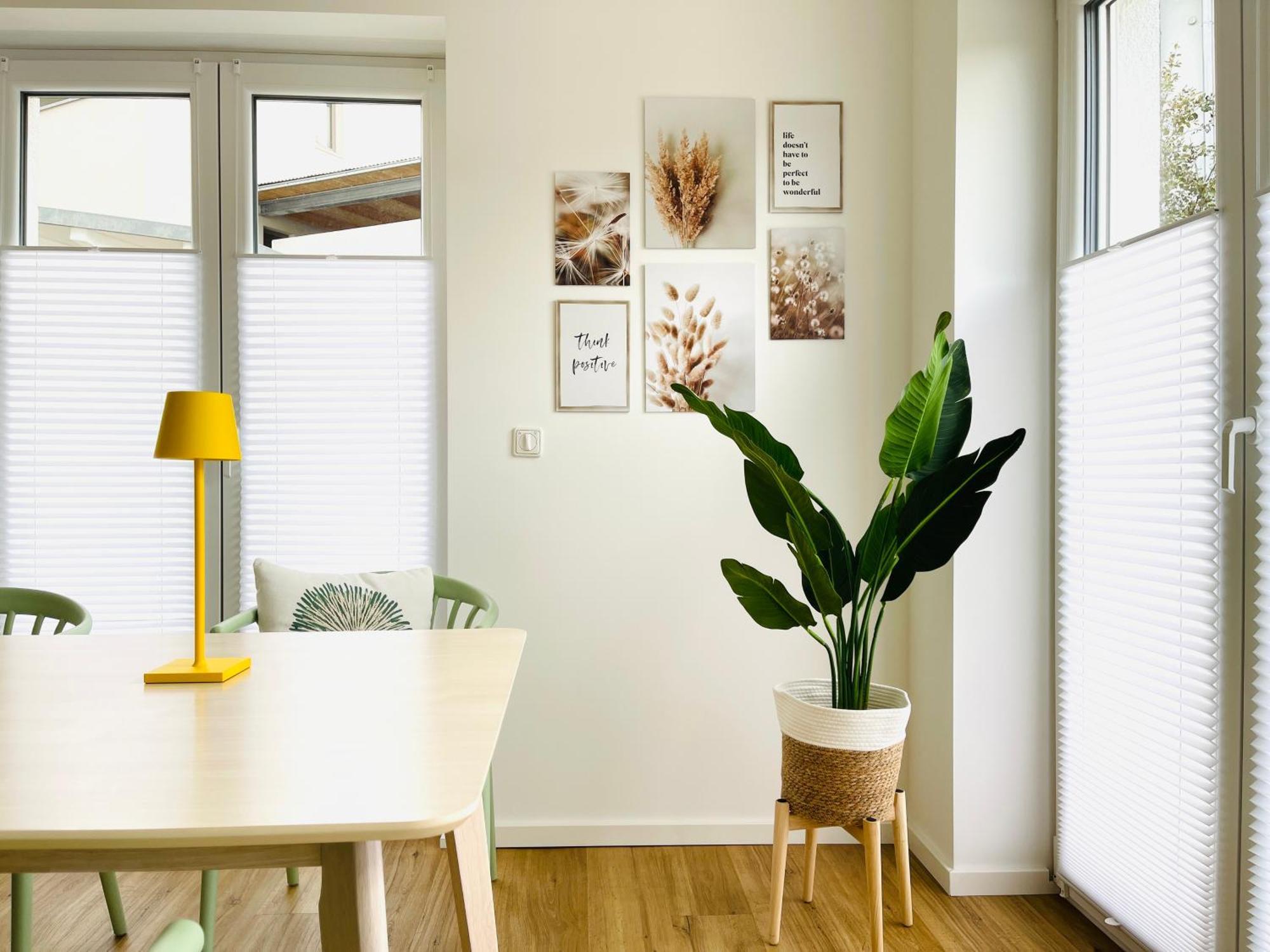Stay Zentrale Schwarzwald Apartments ナーゴルト エクステリア 写真